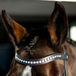 Horze Bergen Remont Trense -Pferdebedarf Verkauf 10109 BR 2