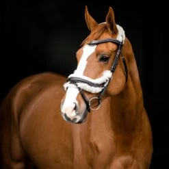 Horze Rome Anatomische Trense -Pferdebedarf Verkauf 10118 DBR 3