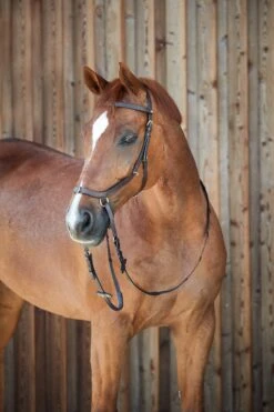 Horze Orlando Anatomische Kombinierte Gebisslose Trense -Pferdebedarf Verkauf 10125 BR 5