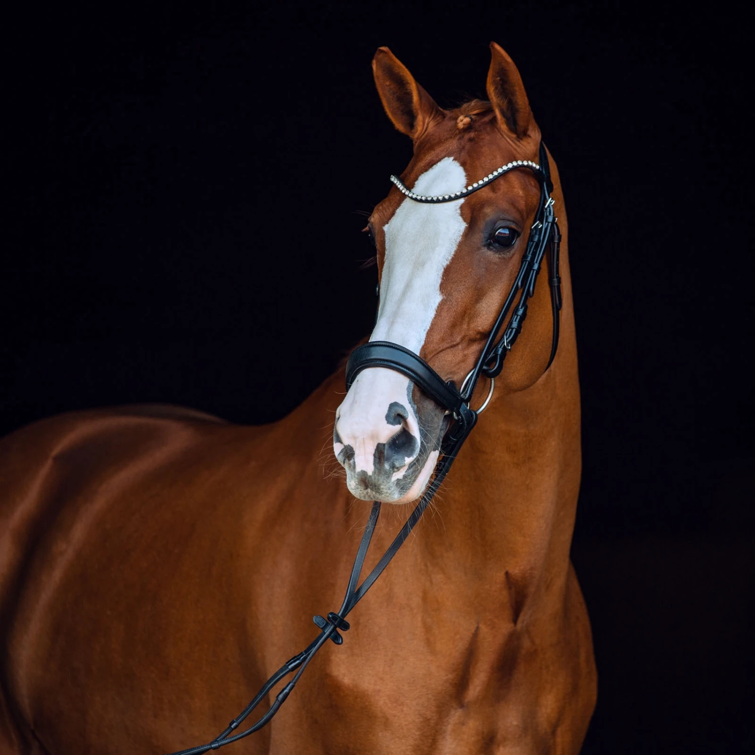 Horze Positano Anatomische Hannoveranische Trense 2 Horze Positano Anatomische Hannoveranische Trense – Bild 2