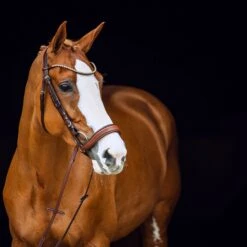 Horze Positano Anatomische Hannoveranische Trense 13 Horze Positano Anatomische Hannoveranische Trense -Pferdebedarf Verkauf 10126 BR 2