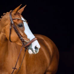 Horze Positano Anatomische Hannoveranische Trense 14 Horze Positano Anatomische Hannoveranische Trense -Pferdebedarf Verkauf 10126 BR 3