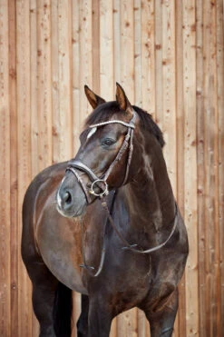 Horze Somerset Anatomische Trense -Pferdebedarf Verkauf 10156 DBR 4