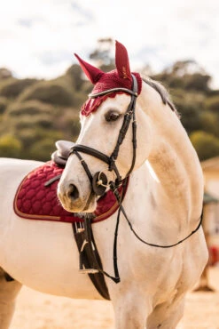 Horze Safari Clincher Trense -Pferdebedarf Verkauf 10194 099 07