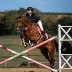 Horze Atlanta Stollenschutz-Sattelgurt Mit Fleecefutter -Pferdebedarf Verkauf 14677 DBR 3