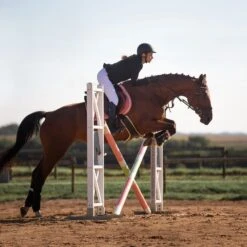 Horze Atlanta Stollenschutz-Sattelgurt Mit Fleecefutter -Pferdebedarf Verkauf 14677 DBR 4