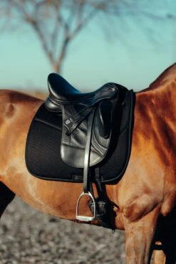 Horze Phoenix Dressurschabracke -Pferdebedarf Verkauf 17295 BL 4