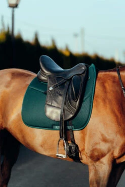 Horze Phoenix Dressurschabracke -Pferdebedarf Verkauf 17295 stgr 04