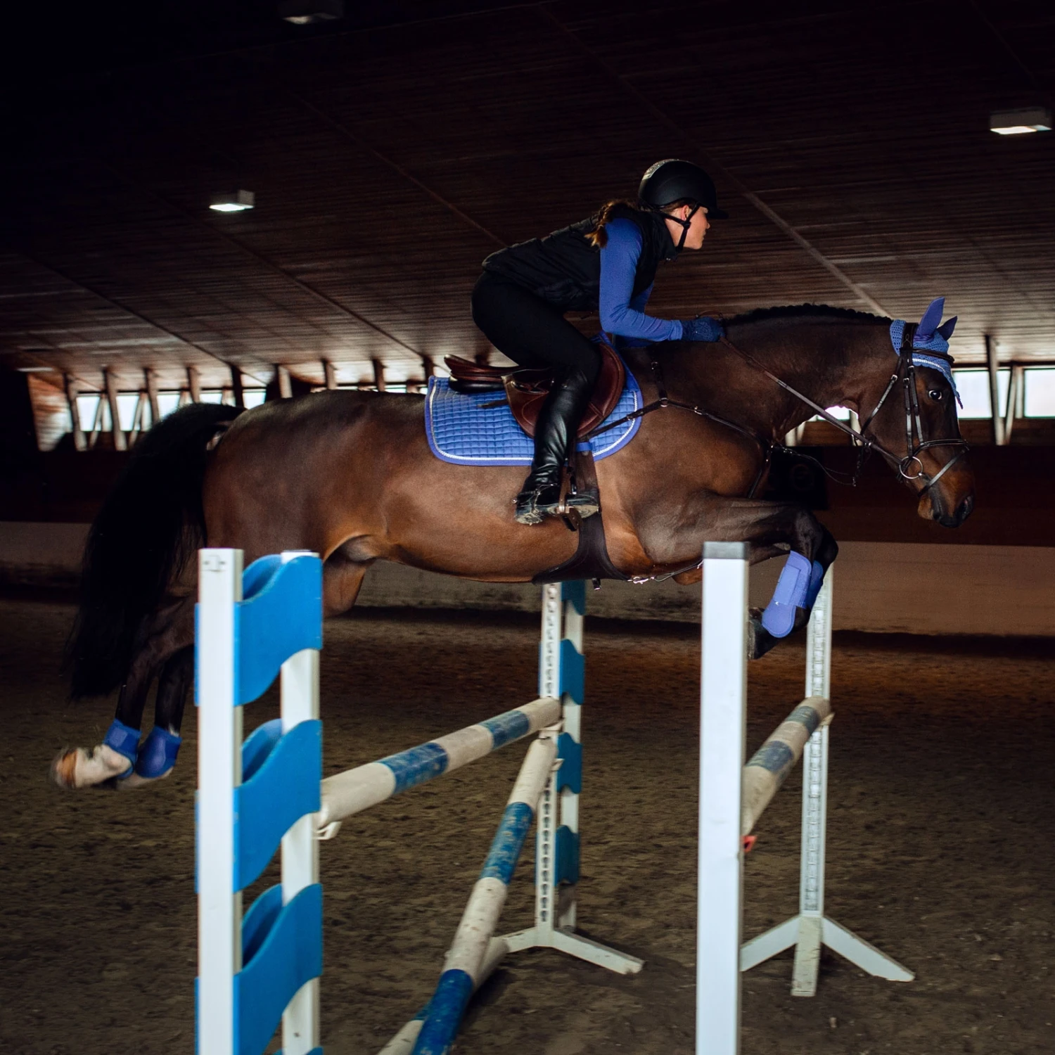 Horze Glarus Dressurschabracke Mit Metallischem Flechtdetail 10 Horze Glarus Dressurschabracke Mit Metallischem Flechtdetail – Bild 10