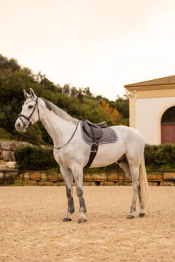 Horze Navajo Vielseitigkeitsschabracke -Pferdebedarf Verkauf 17442 060 07