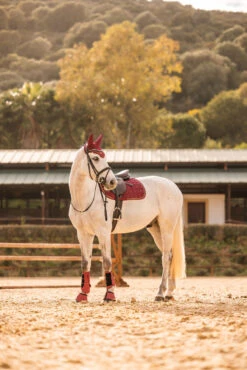 Horze Kenya Vielseitigkeitsschabracke -Pferdebedarf Verkauf 17444 251 06