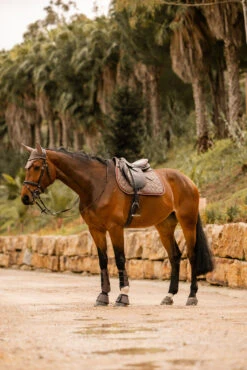 Horze Kenya Vielseitigkeitsschabracke -Pferdebedarf Verkauf 17444 753 07