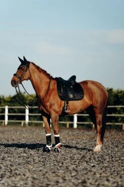 B Vertigo Drew Gamaschen Mit Kunstfellfutter -Pferdebedarf Verkauf 19201 BL 7