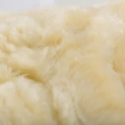 Horze Signature Gamaschen -Pferdebedarf Verkauf 19212 BL 15