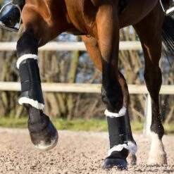 Horze Signature Gamaschen -Pferdebedarf Verkauf 19212 BL 2