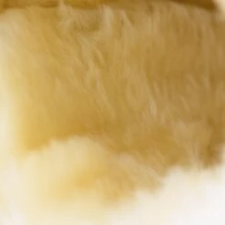 Horze Signature Gamaschen -Pferdebedarf Verkauf 19212 BL 21