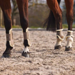 Horze Windsor Streichkappen Mit Kunstfellfutter 34 Horze Windsor Streichkappen Mit Kunstfellfutter -Pferdebedarf Verkauf 19262 LBR 5