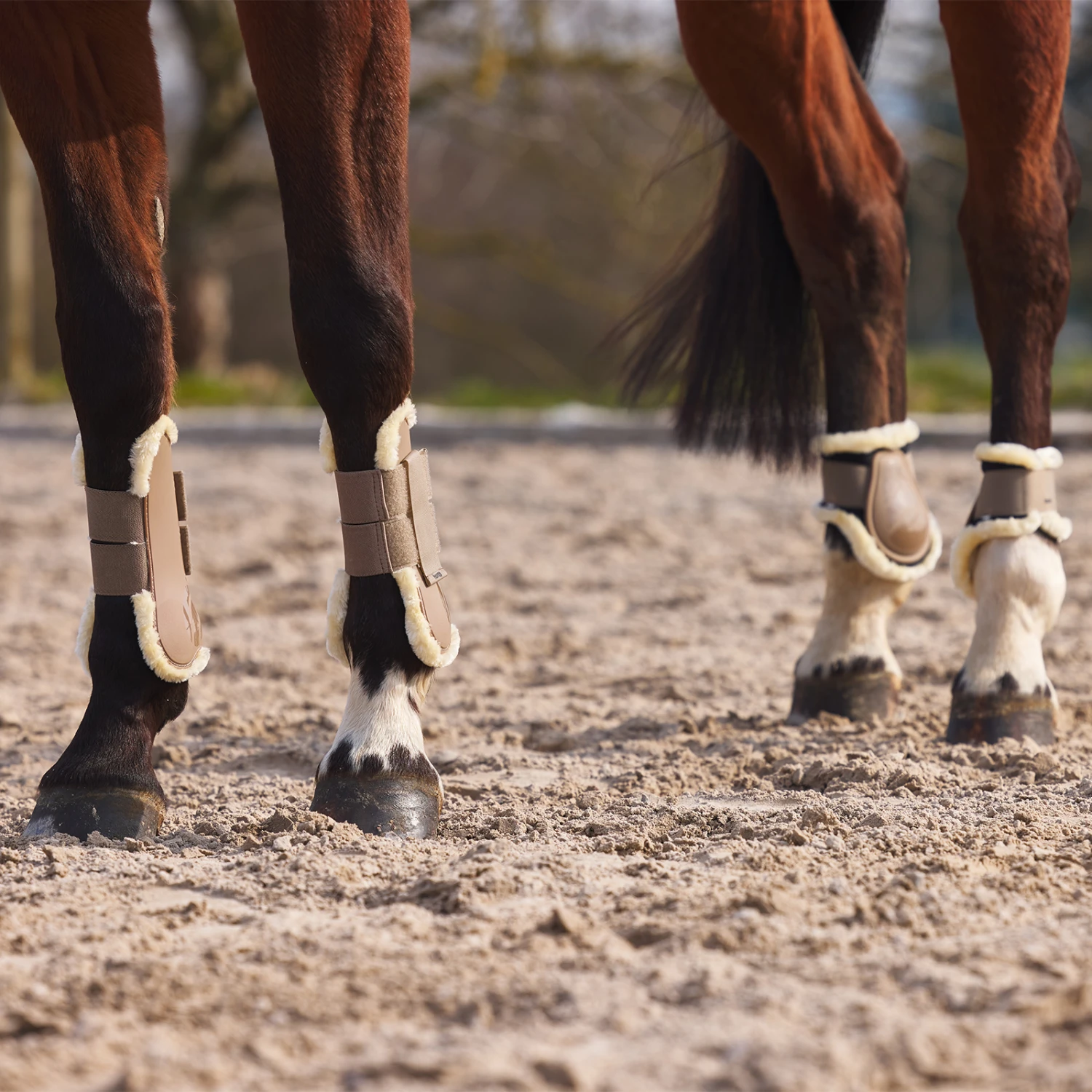 Horze Windsor Streichkappen Mit Kunstfellfutter 15 Horze Windsor Streichkappen Mit Kunstfellfutter – Bild 15