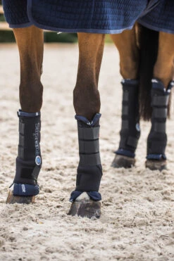 Horze Stallgamaschen Pro, Hinten -Pferdebedarf Verkauf 19409 bl 10