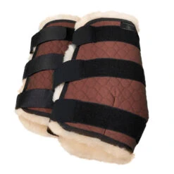 Christ Gamaschen Vorderbeine -Pferdebedarf Verkauf 19422 BR OWH 1