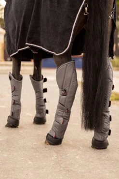 B Vertigo Wellington Transportgamaschen (4er Set) -Pferdebedarf Verkauf 19528 085 06