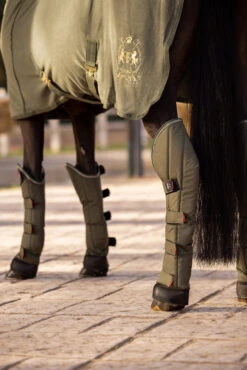 B Vertigo Wellington Transportgamaschen (4er Set) -Pferdebedarf Verkauf 19528 630 06