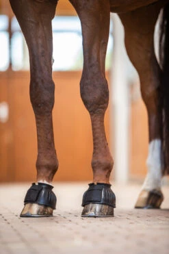 Horze Hufglocken Mit Verdrehsicherung -Pferdebedarf Verkauf 19701 BL 4