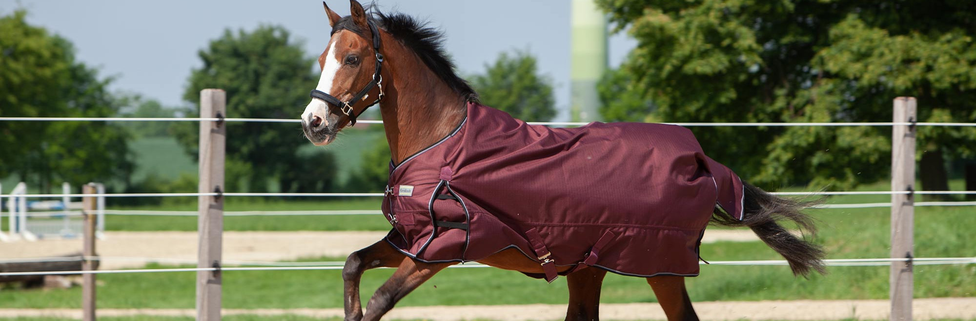 Pferdebedarf Verkauf -Pferdebedarf Verkauf 2