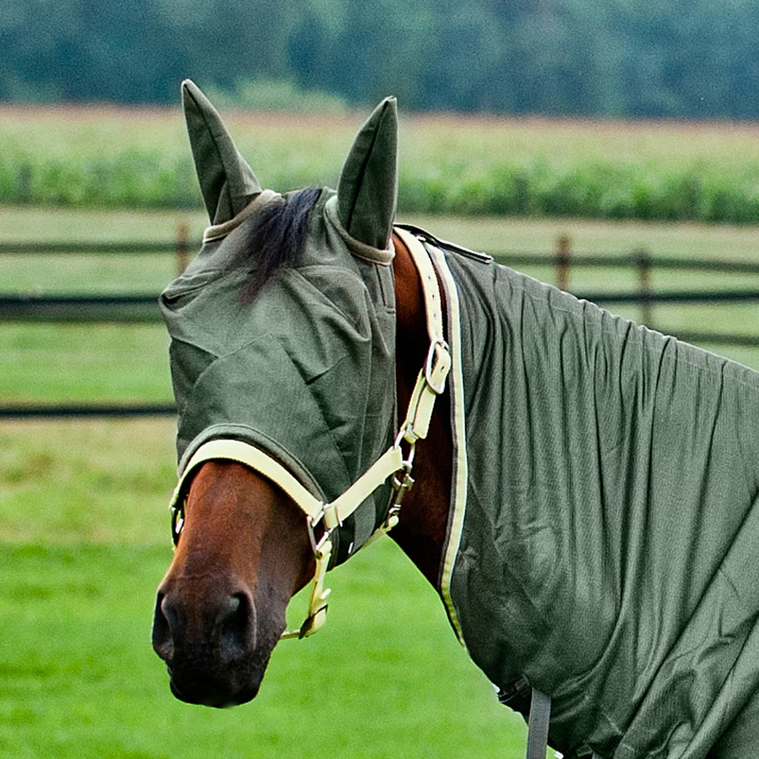 Horze Fliegenmaske 5 Horze Fliegenmaske – Bild 5