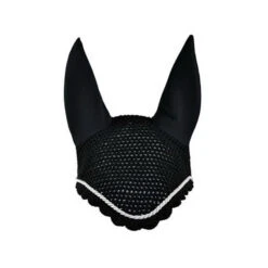 Eskadron Fliegenhaube, Silber