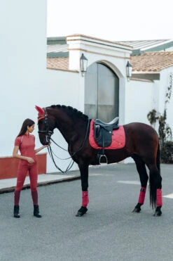 B Vertigo Laurel Fliegenhaube -Pferdebedarf Verkauf 22930 MNRE 5