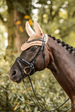 B Vertigo Quinn Fliegenhaube -Pferdebedarf Verkauf 22937 sbe 03