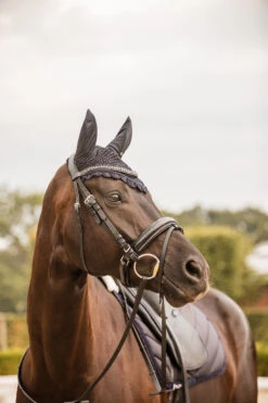 Horze Victoria Fliegenhaube 9 Horze Victoria Fliegenhaube -Pferdebedarf Verkauf 22940 ikb 02