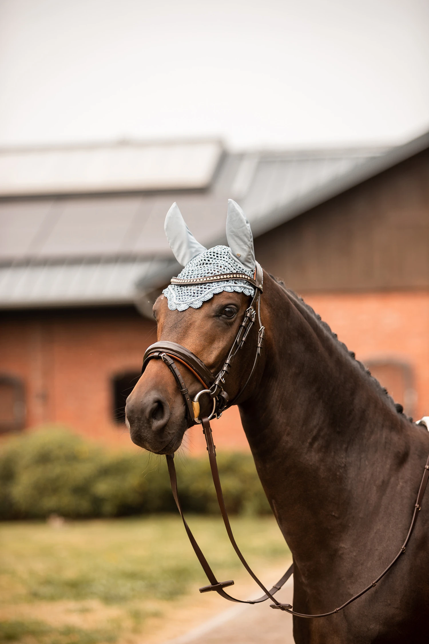 Horze Victoria Fliegenhaube 6 Horze Victoria Fliegenhaube – Bild 6