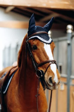 B Vertigo Cameron Fliegenhaube 17 B Vertigo Cameron Fliegenhaube -Pferdebedarf Verkauf 22944 VDB 3