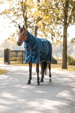 Horze Glasgow Regendecke Mit Halsteil, 150g -Pferdebedarf Verkauf 24109 559 06