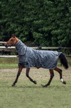 Horze Glasgow Regendecke Mit Halsteil, 400g 29 Horze Glasgow Regendecke Mit Halsteil, 400g -Pferdebedarf Verkauf 24111 IGG SLBR 05