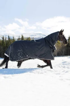 B Vertigo Georgina Winterdecke Mit Halsteil 400g -Pferdebedarf Verkauf 24157 VDB 03
