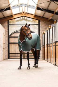 B Vertigo Evolve Fleece-Kühldecke -Pferdebedarf Verkauf 24445 681 07