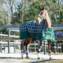 Horze Nevada Mittelschwere Regendecke, 200g -Pferdebedarf Verkauf 24574 BTGR VDB 3