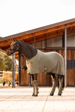 B Vertigo Wellington Abschwitzdecke -Pferdebedarf Verkauf 24688 630 06