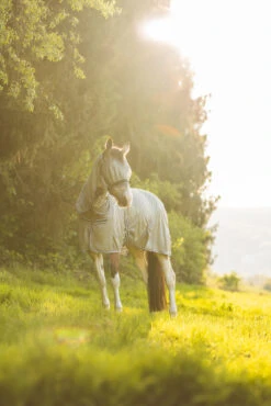 Horze La Pampa Fliegenschutz Set -Pferdebedarf Verkauf 24817 g 12