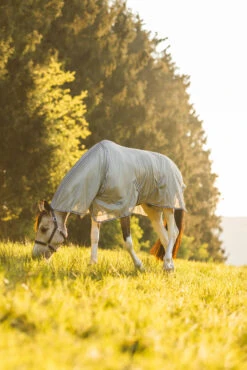 Horze La Pampa Fliegenschutz Set -Pferdebedarf Verkauf 24817 g 13