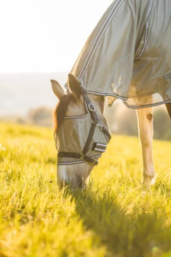 Horze La Pampa Fliegenschutz Set -Pferdebedarf Verkauf 24817 g 14