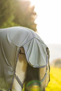 Horze La Pampa Fliegenschutz Set -Pferdebedarf Verkauf 24817 g 16