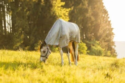 Horze La Pampa Fliegenschutz Set -Pferdebedarf Verkauf 24817 g 18