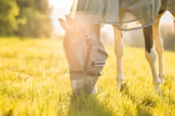 Horze La Pampa Fliegenschutz Set -Pferdebedarf Verkauf 24817 g 19