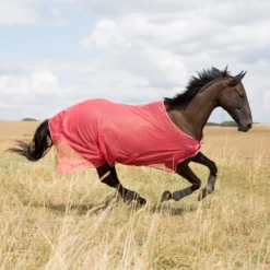 Horze Orleans Fliegendecke -Pferdebedarf Verkauf 24835 SCPI 1