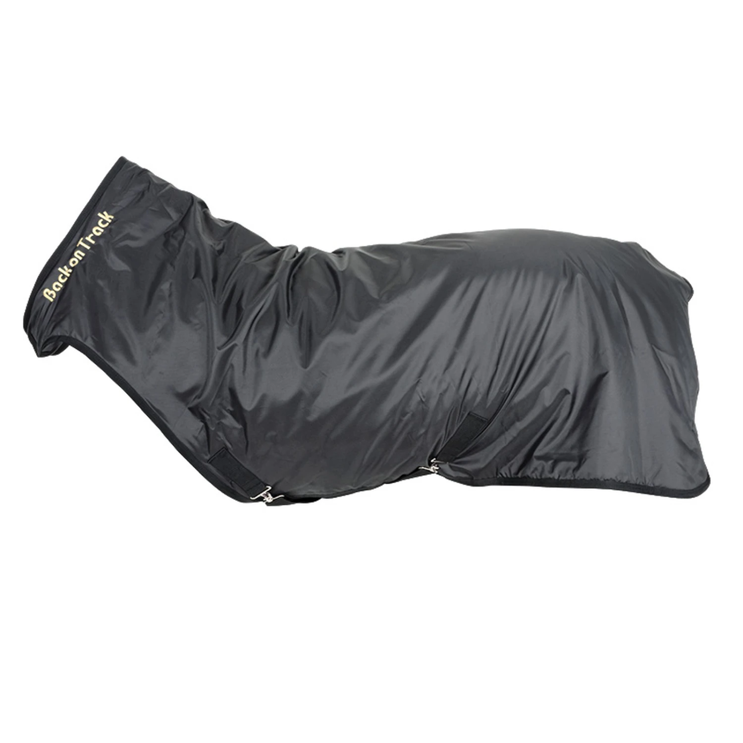 Back On Track Führanlagendecke 1 Back On Track Führanlagendecke