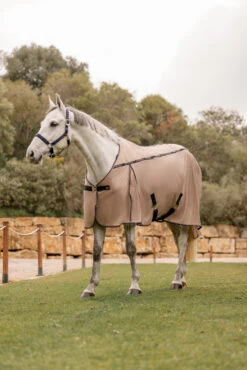 B Vertigo Combo Fly Rug With Detachable Neck And UV Protection -Pferdebedarf Verkauf 24899 726 09